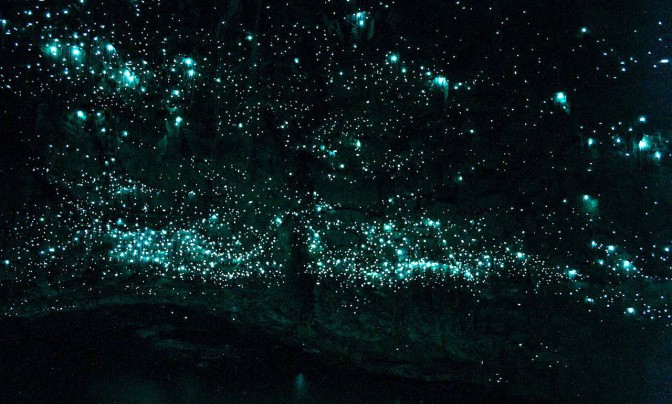 waitomo-glowworm-caves-nouvelle-zelande-02